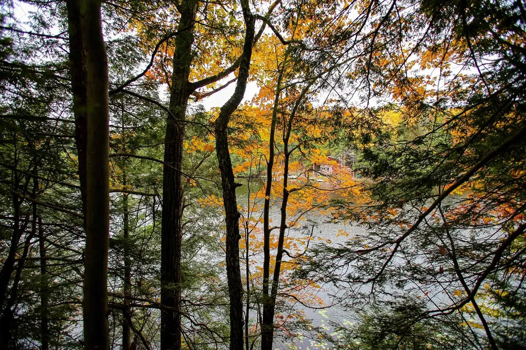 1235 Camp Road Hubbardton VT 05733