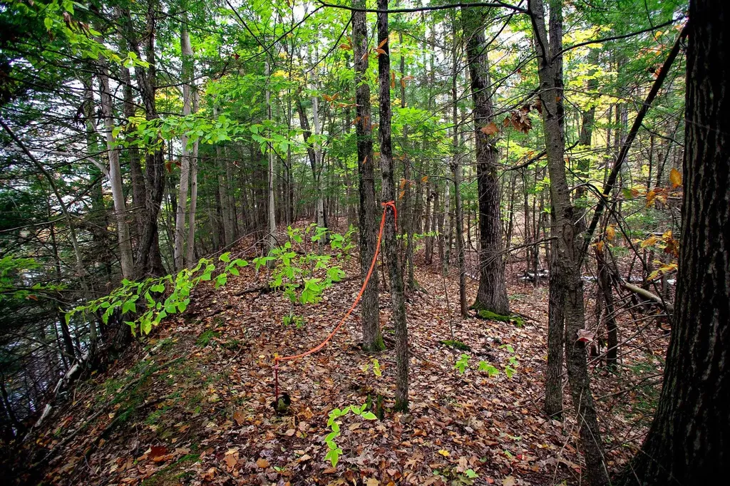 1235 Camp Road Hubbardton VT 05733