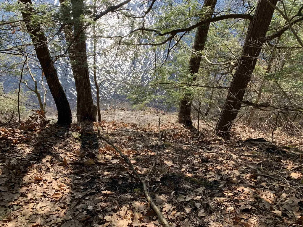 1235 Camp Road Hubbardton VT 05733