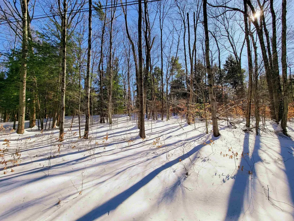 1235 Camp Road Hubbardton VT 05733