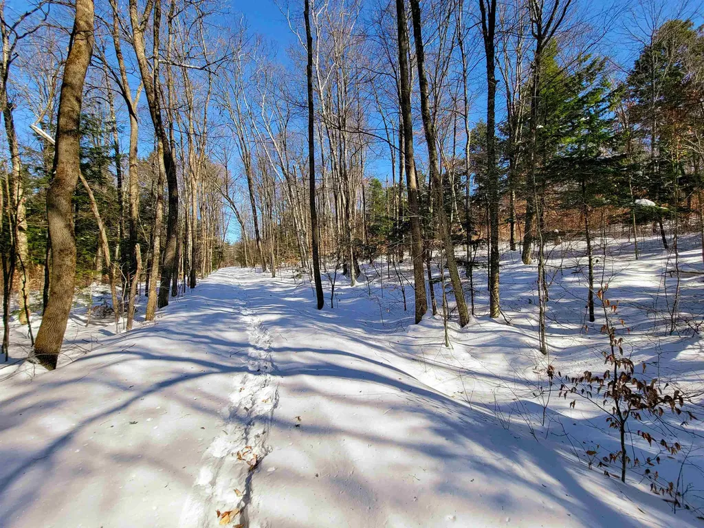 1235 Camp Road Hubbardton VT 05733