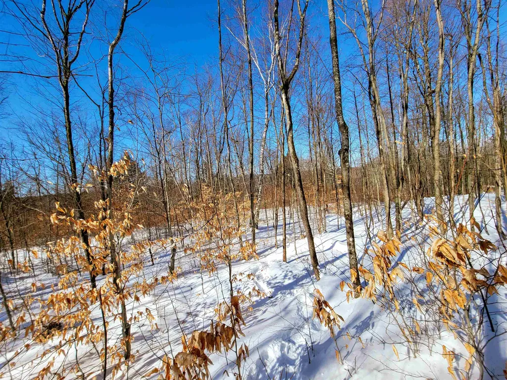 1235 Camp Road Hubbardton VT 05733