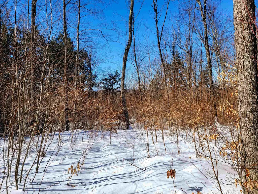 1235 Camp Road Hubbardton VT 05733