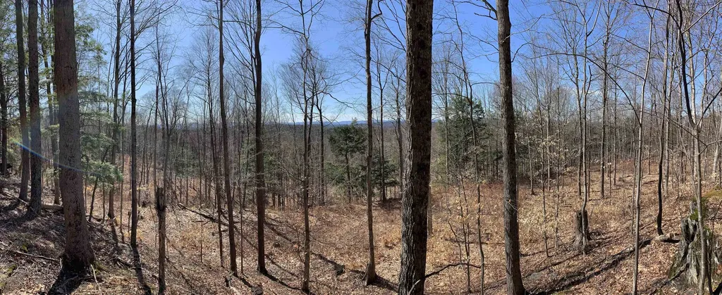 1235 Camp Road Hubbardton VT 05733