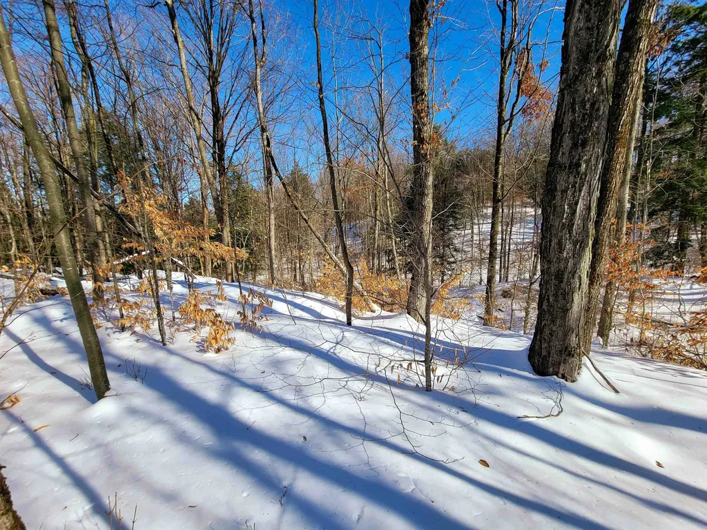 1235 Camp Road Hubbardton VT 05733