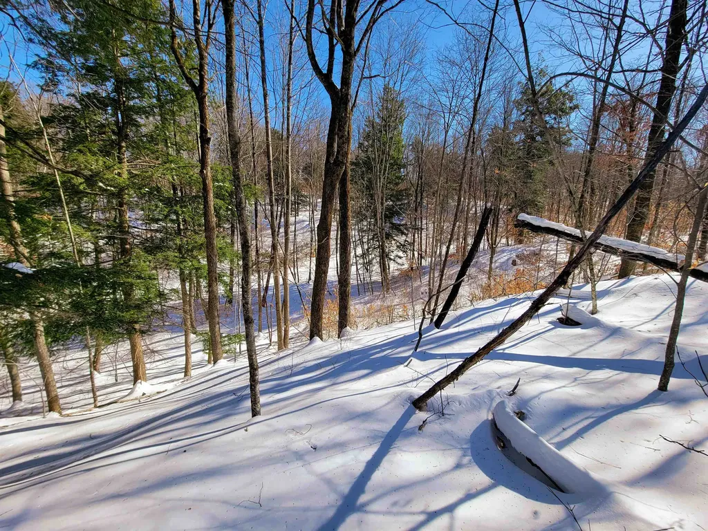 1235 Camp Road Hubbardton VT 05733