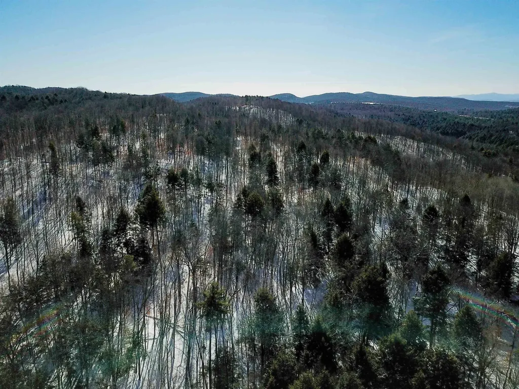 1235 Camp Road Hubbardton VT 05733