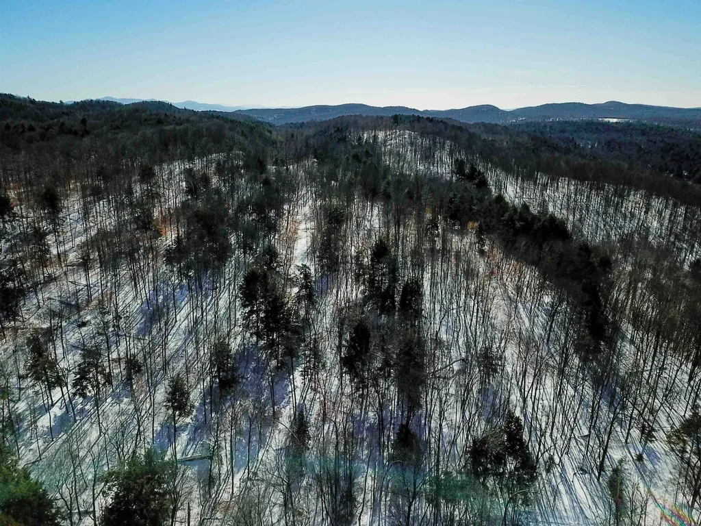 1235 Camp Road Hubbardton VT 05733