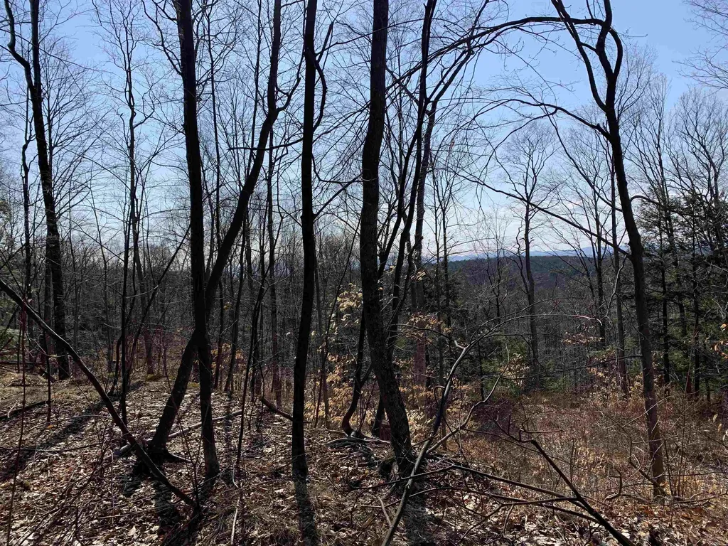 1235 Camp Road Hubbardton VT 05733