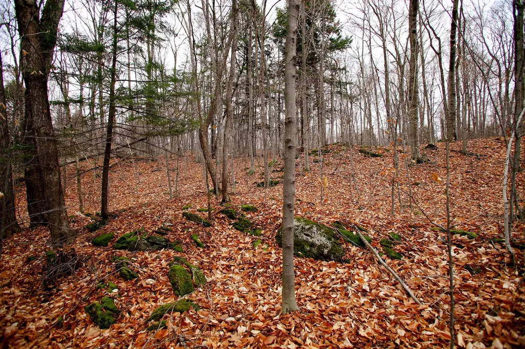 1235 Camp Road Hubbardton VT 05733