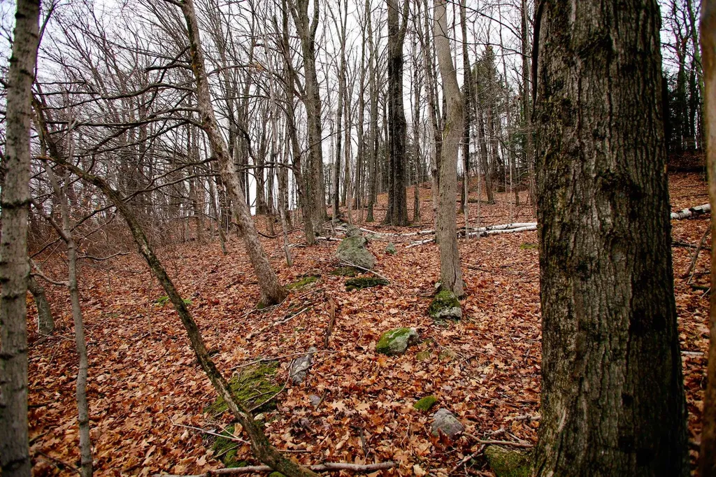 1235 Camp Road Hubbardton VT 05733