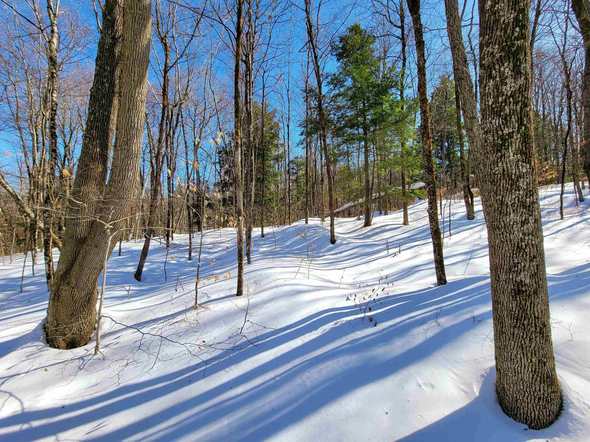 1235 Camp Road Hubbardton VT 05733