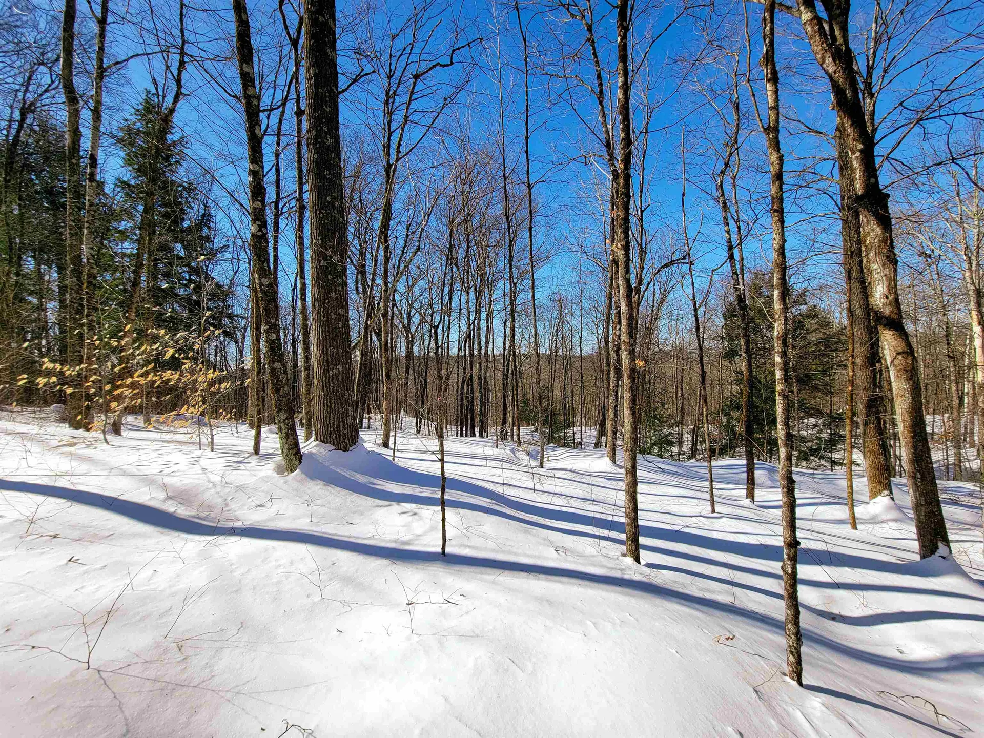 1235 Camp Road Hubbardton VT 05733