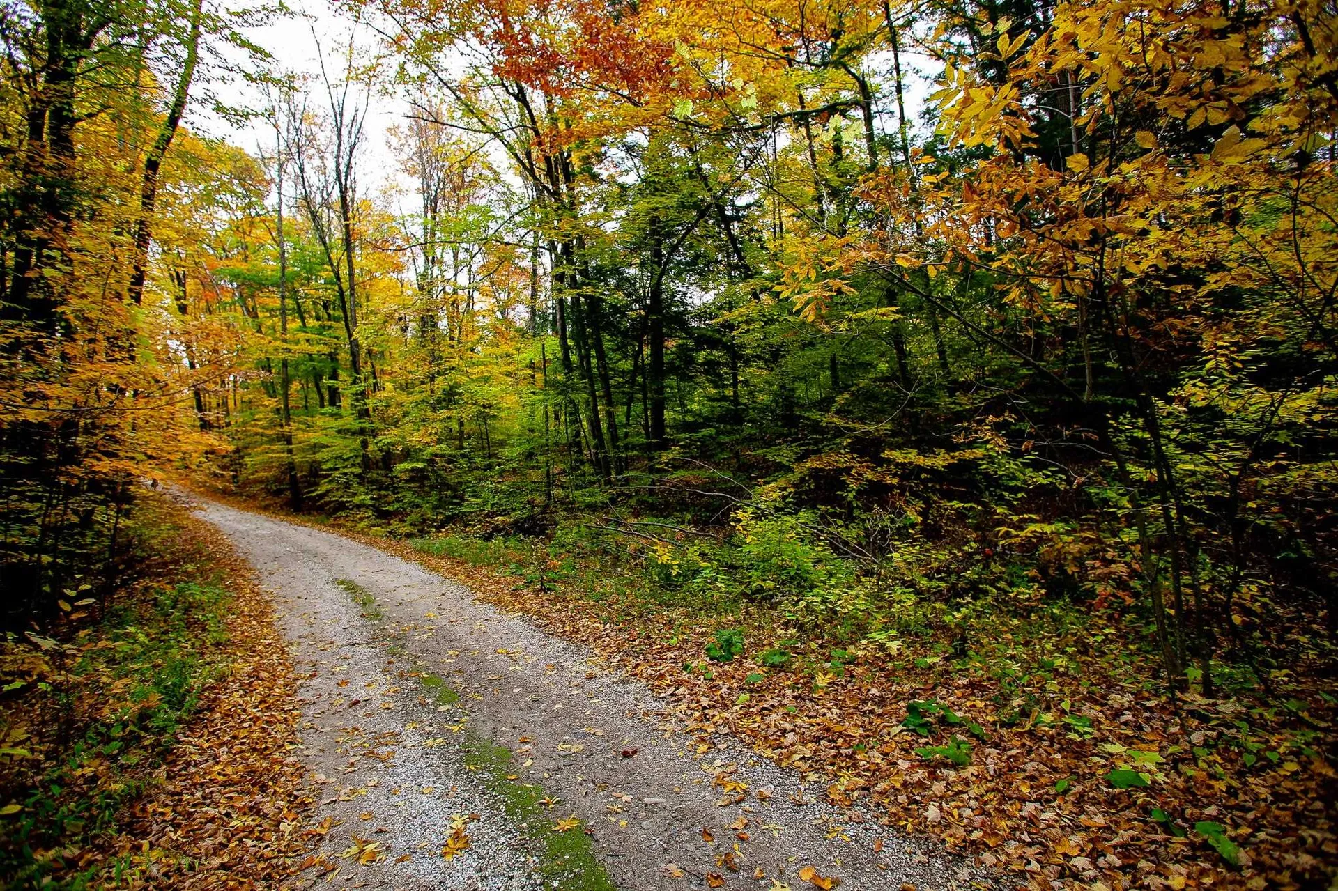 1235 Camp Road Hubbardton VT 05733