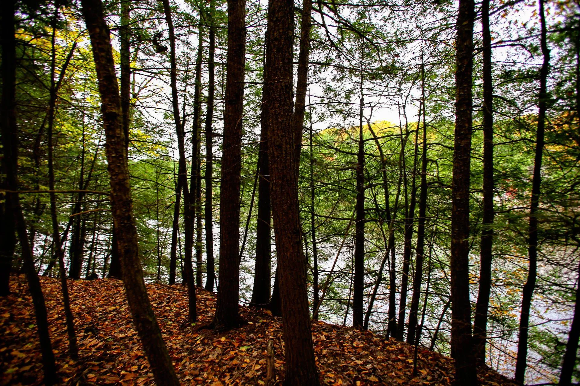 1235 Camp Road Hubbardton VT 05733