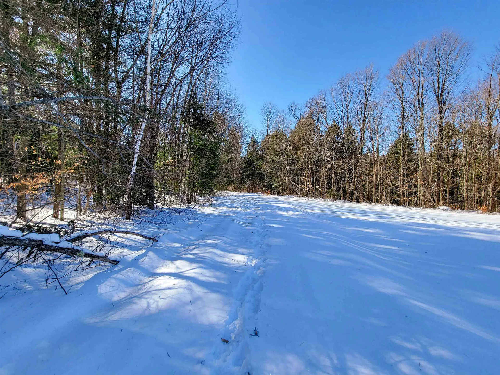 1235 Camp Road Hubbardton VT 05733