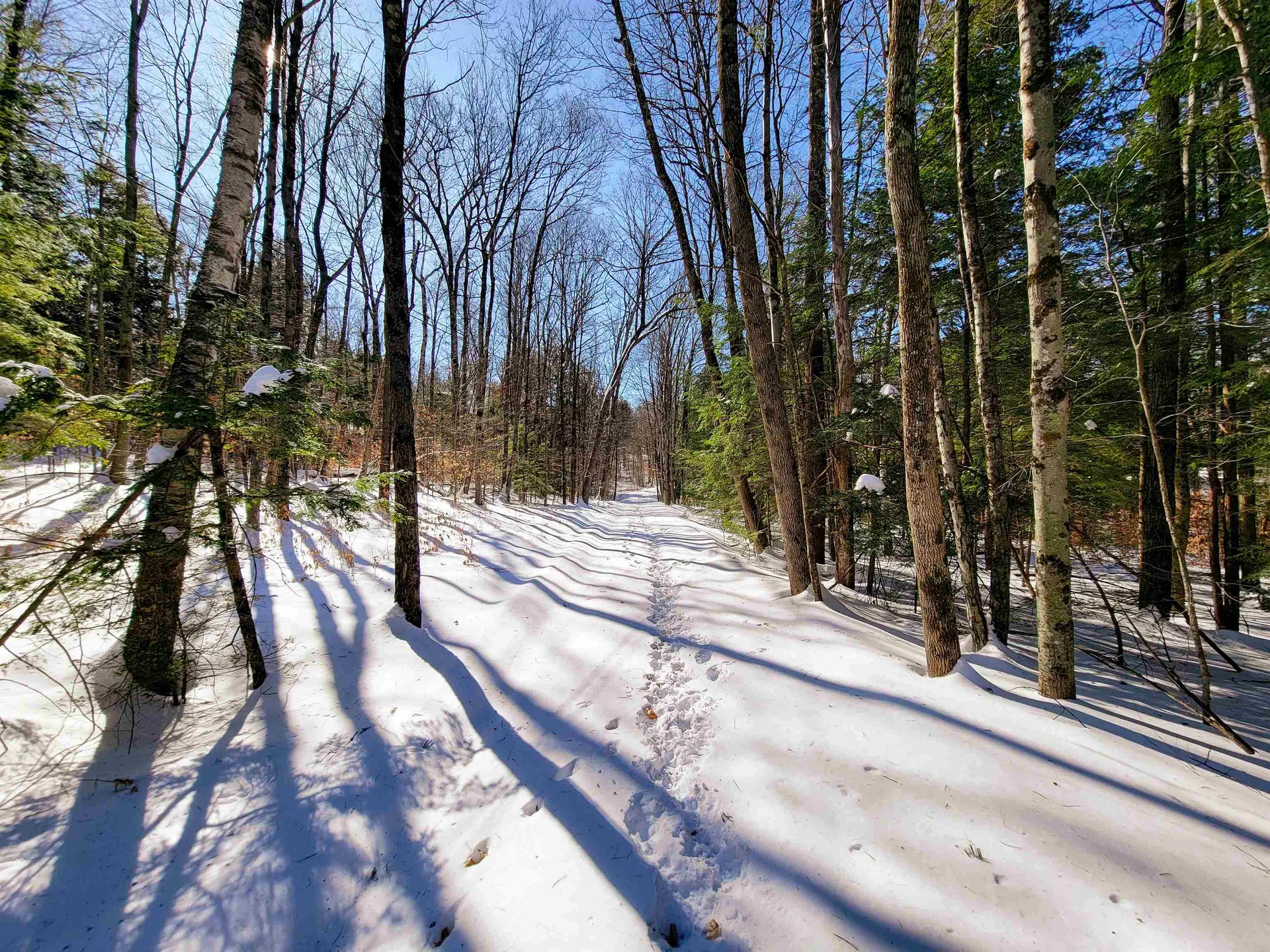 1235 Camp Road Hubbardton VT 05733