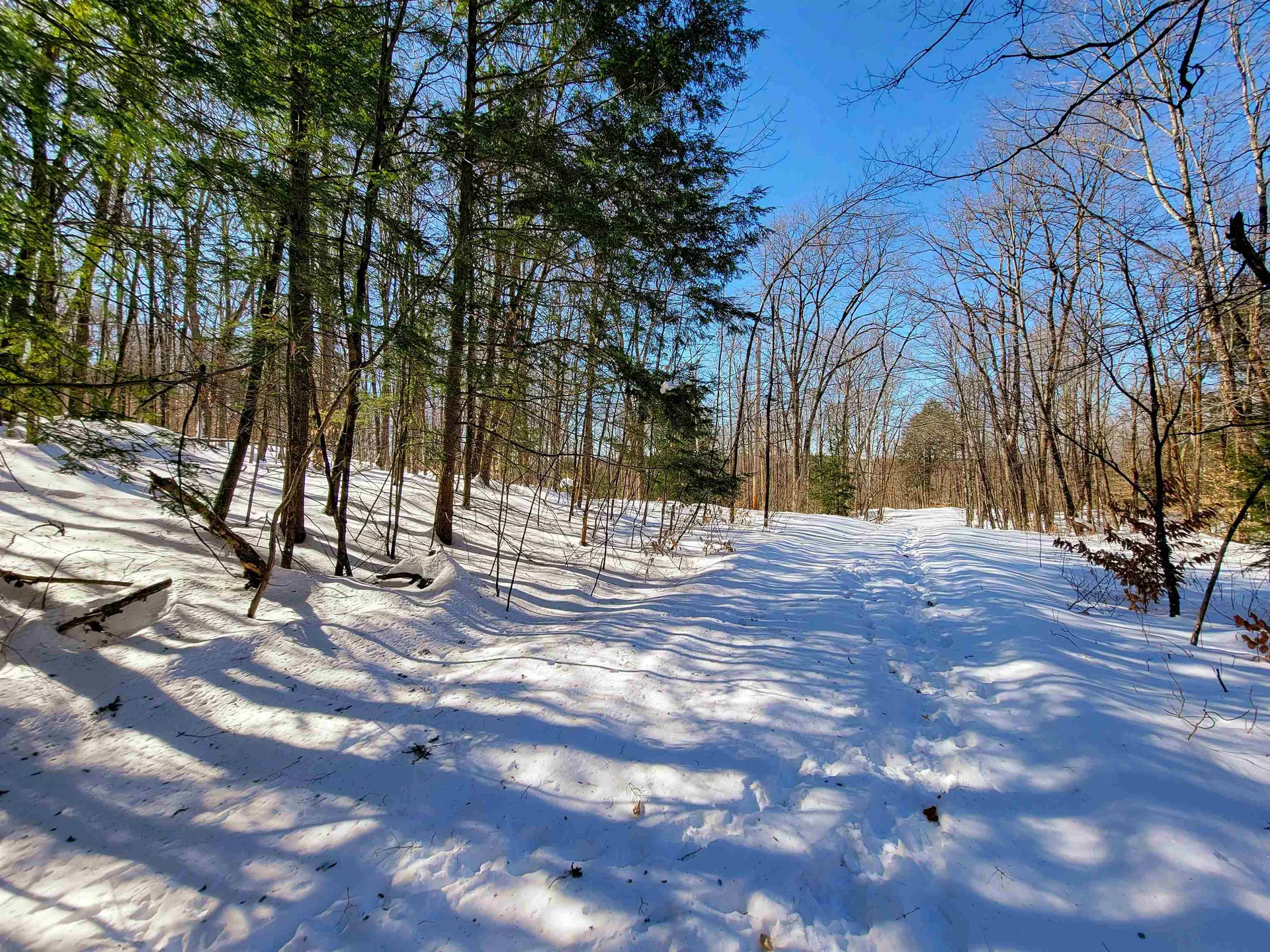 1235 Camp Road Hubbardton VT 05733