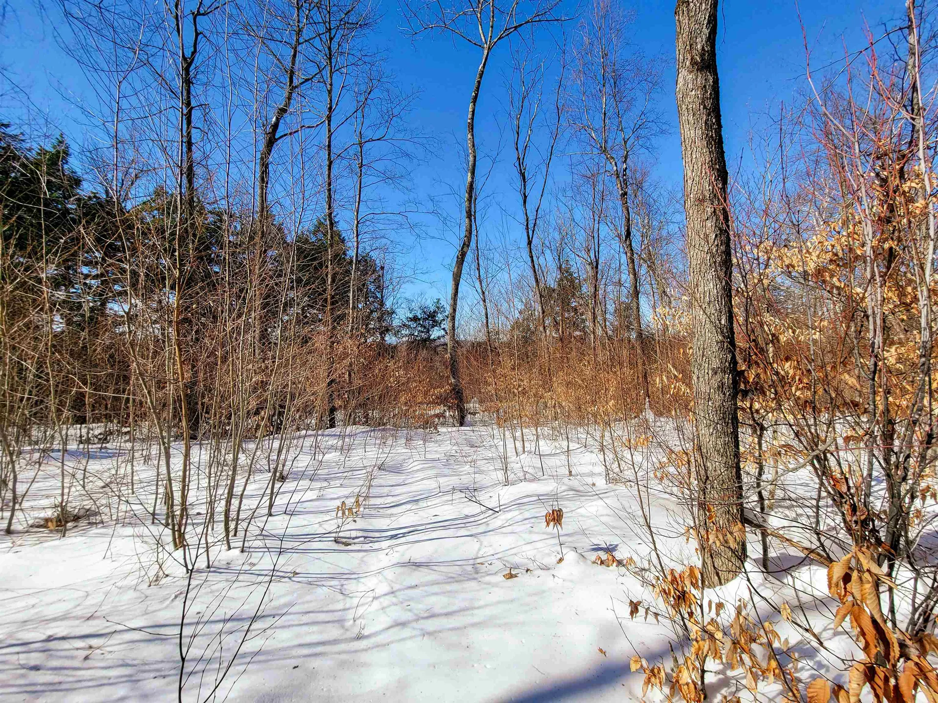 1235 Camp Road Hubbardton VT 05733