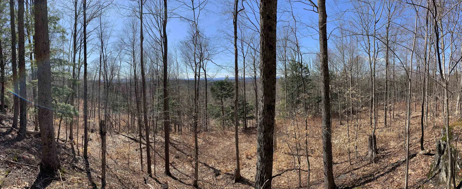 1235 Camp Road Hubbardton VT 05733