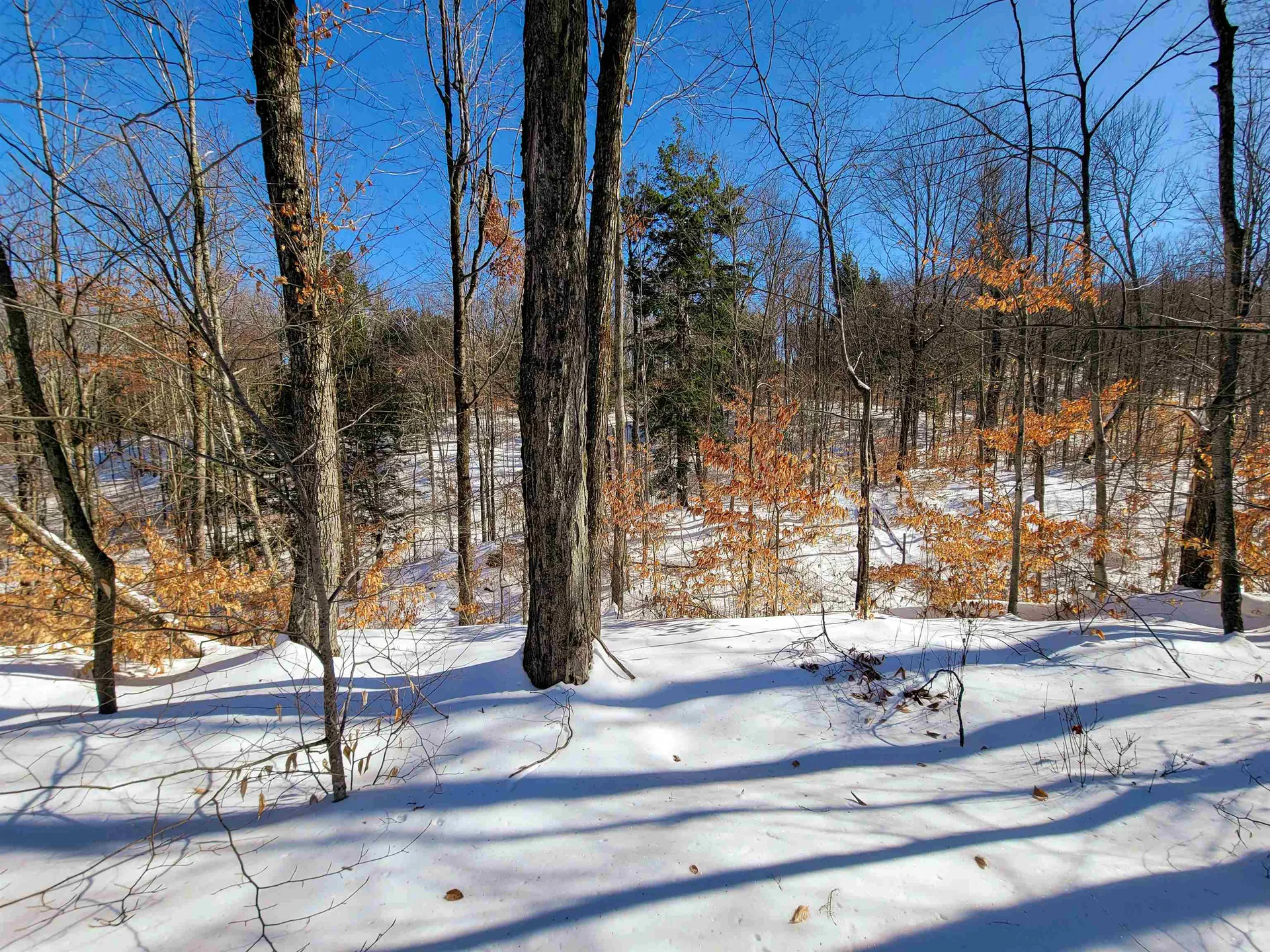 1235 Camp Road Hubbardton VT 05733