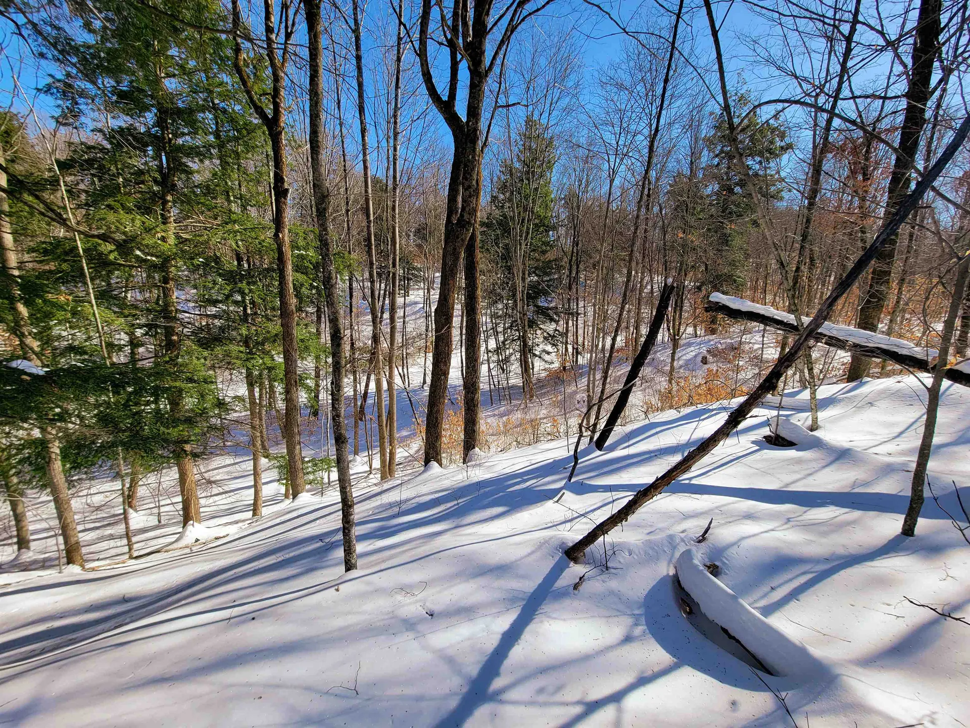 1235 Camp Road Hubbardton VT 05733