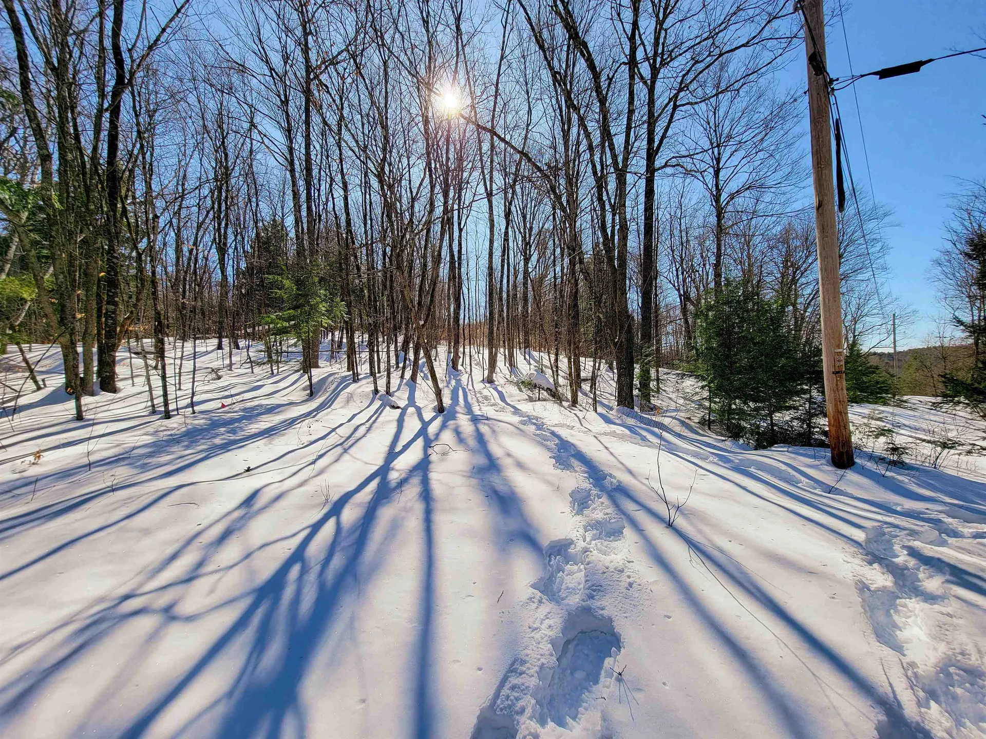 1235 Camp Road Hubbardton VT 05733