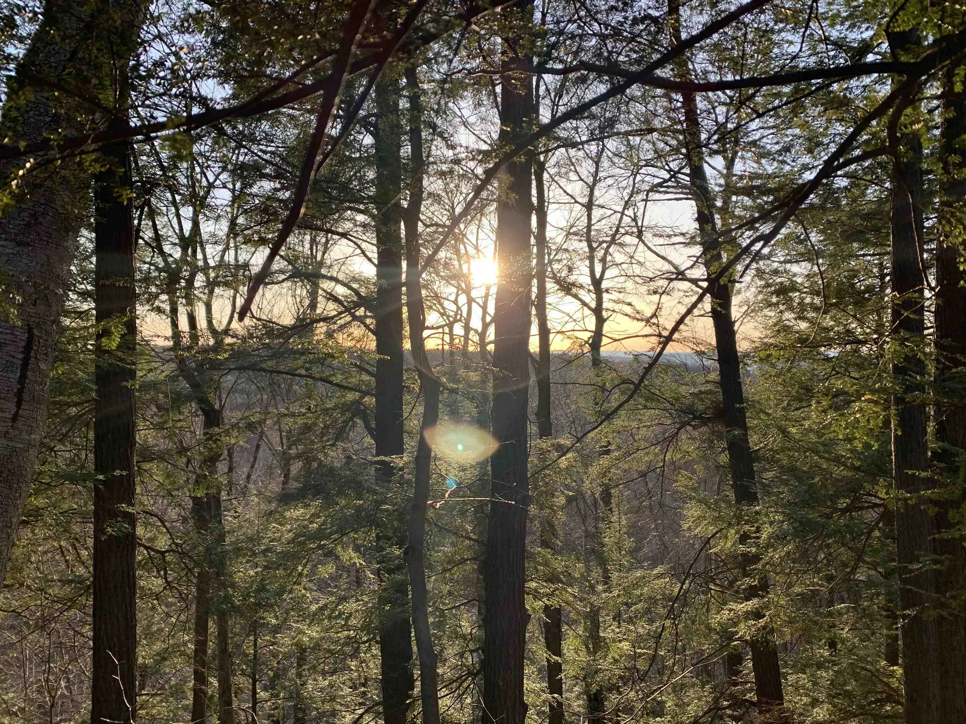 1235 Camp Road Hubbardton VT 05733