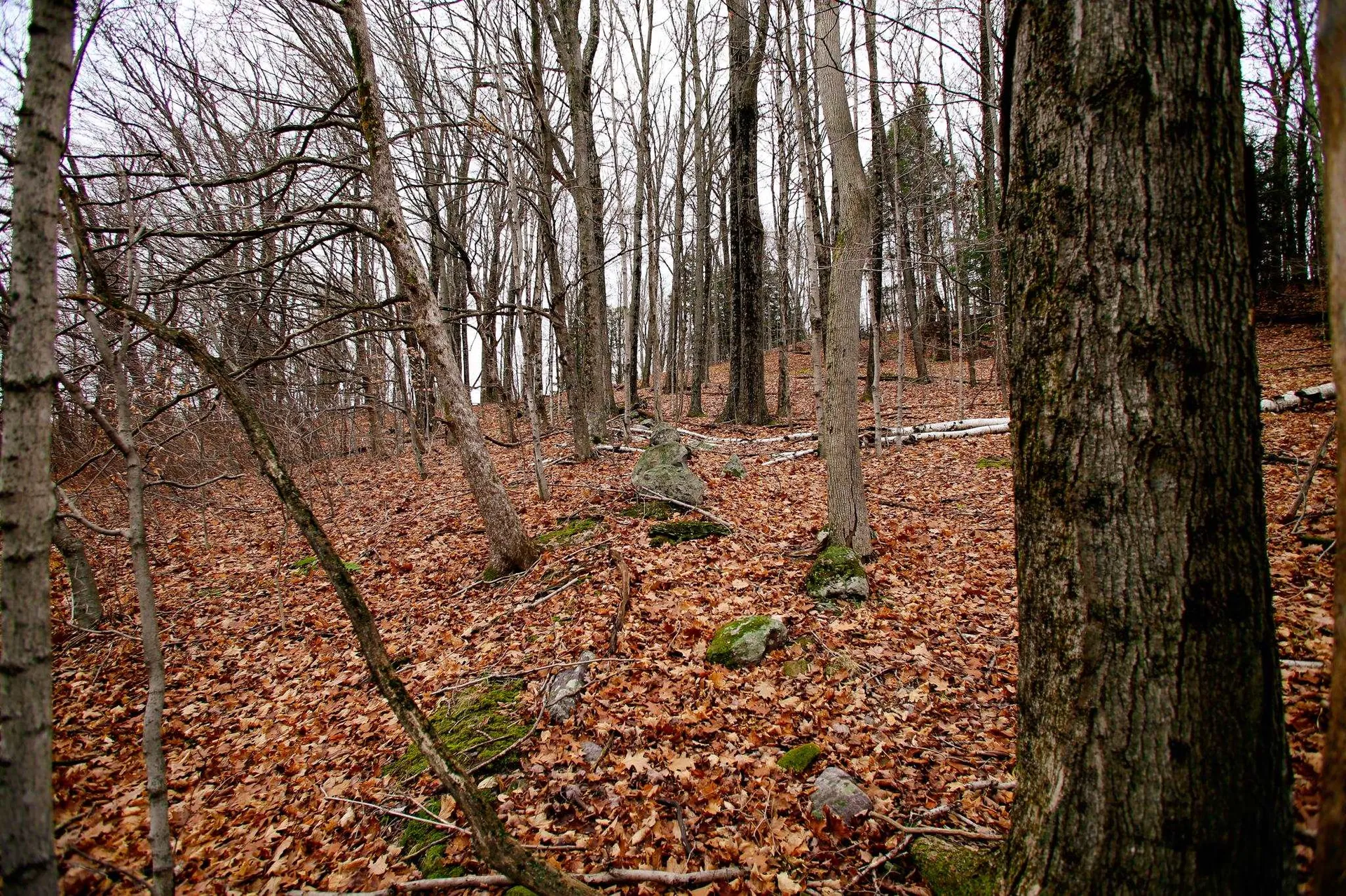 1235 Camp Road Hubbardton VT 05733