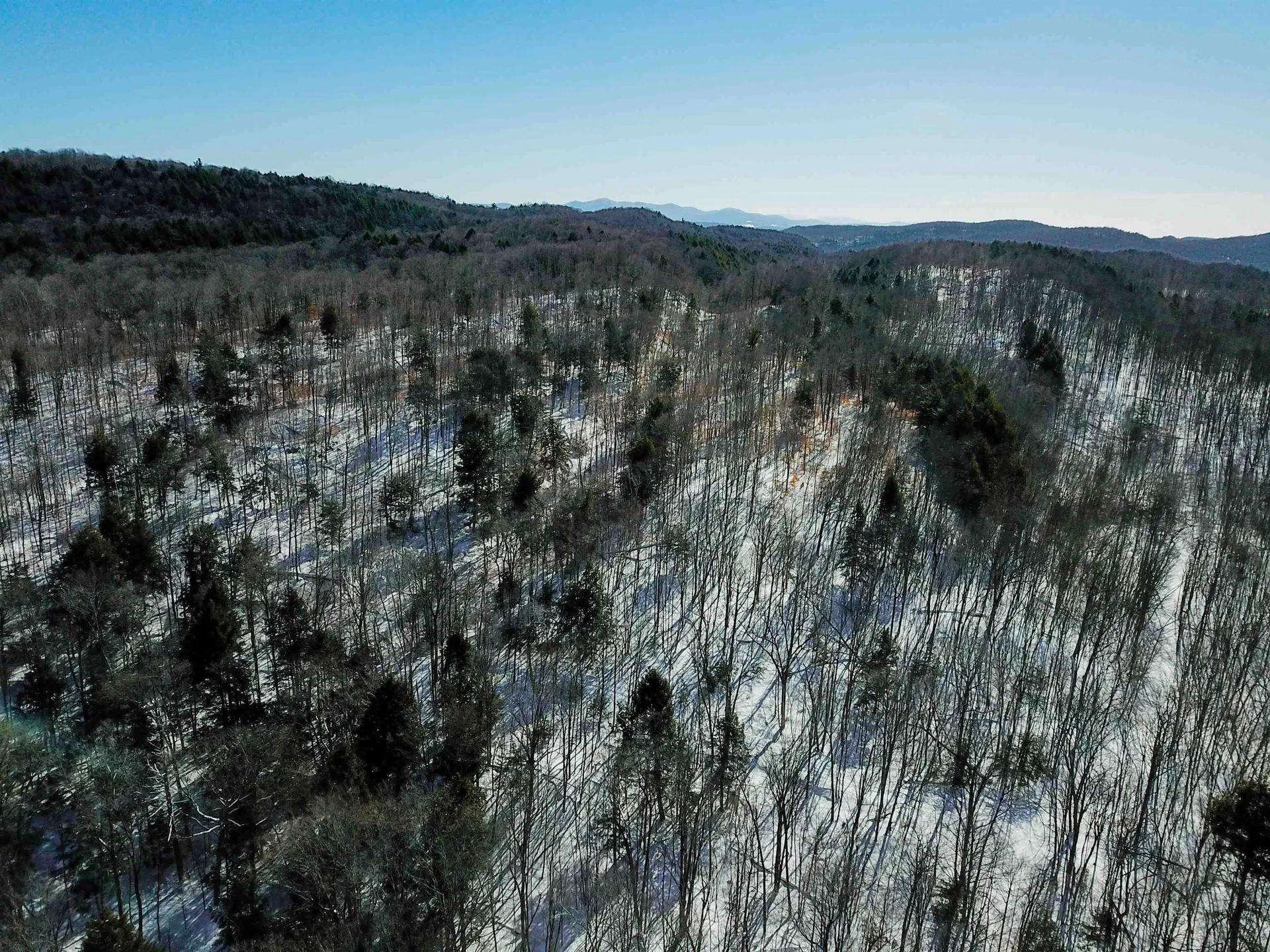 1235 Camp Road Hubbardton VT 05733