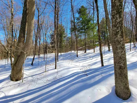 1235 Camp Road Hubbardton VT 05733