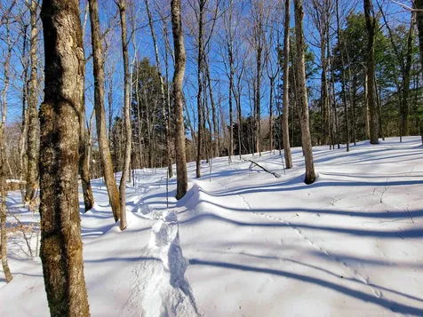 1235 Camp Road Hubbardton VT 05733