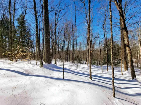 1235 Camp Road Hubbardton VT 05733