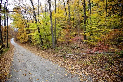 1235 Camp Road Hubbardton VT 05733