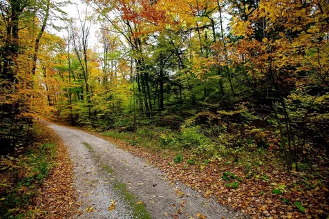 1235 Camp Road Hubbardton VT 05733