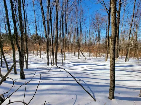 1235 Camp Road Hubbardton VT 05733