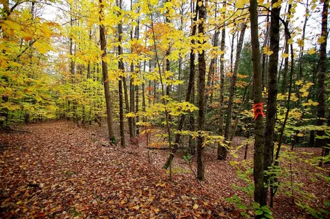 1235 Camp Road Hubbardton VT 05733