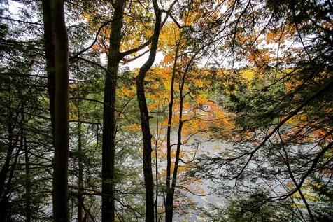 1235 Camp Road Hubbardton VT 05733