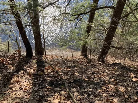 1235 Camp Road Hubbardton VT 05733