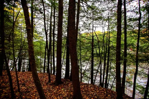 1235 Camp Road Hubbardton VT 05733