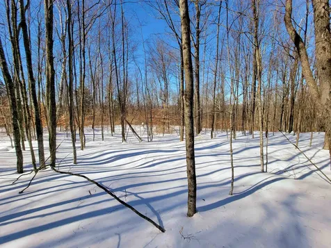 1235 Camp Road Hubbardton VT 05733