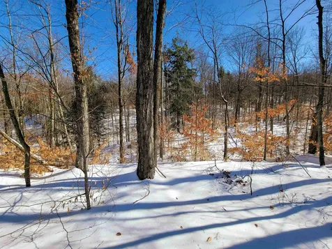 1235 Camp Road Hubbardton VT 05733