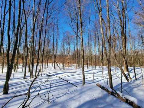 1235 Camp Road Hubbardton VT 05733