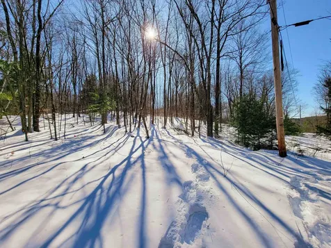 1235 Camp Road Hubbardton VT 05733