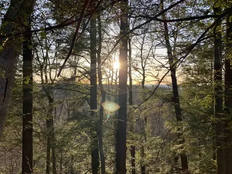 1235 Camp Road Hubbardton VT 05733