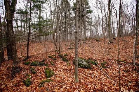 1235 Camp Road Hubbardton VT 05733