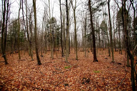 1235 Camp Road Hubbardton VT 05733