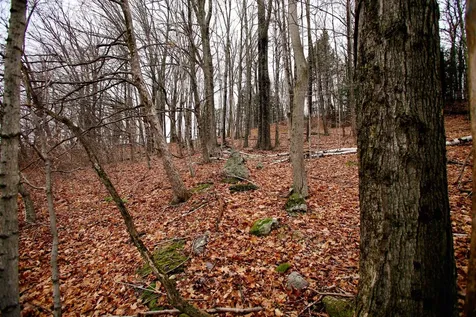 1235 Camp Road Hubbardton VT 05733