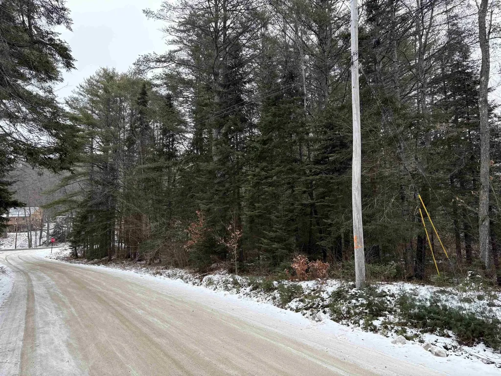 0 Keyes Hollow Road Lempster NH 03605