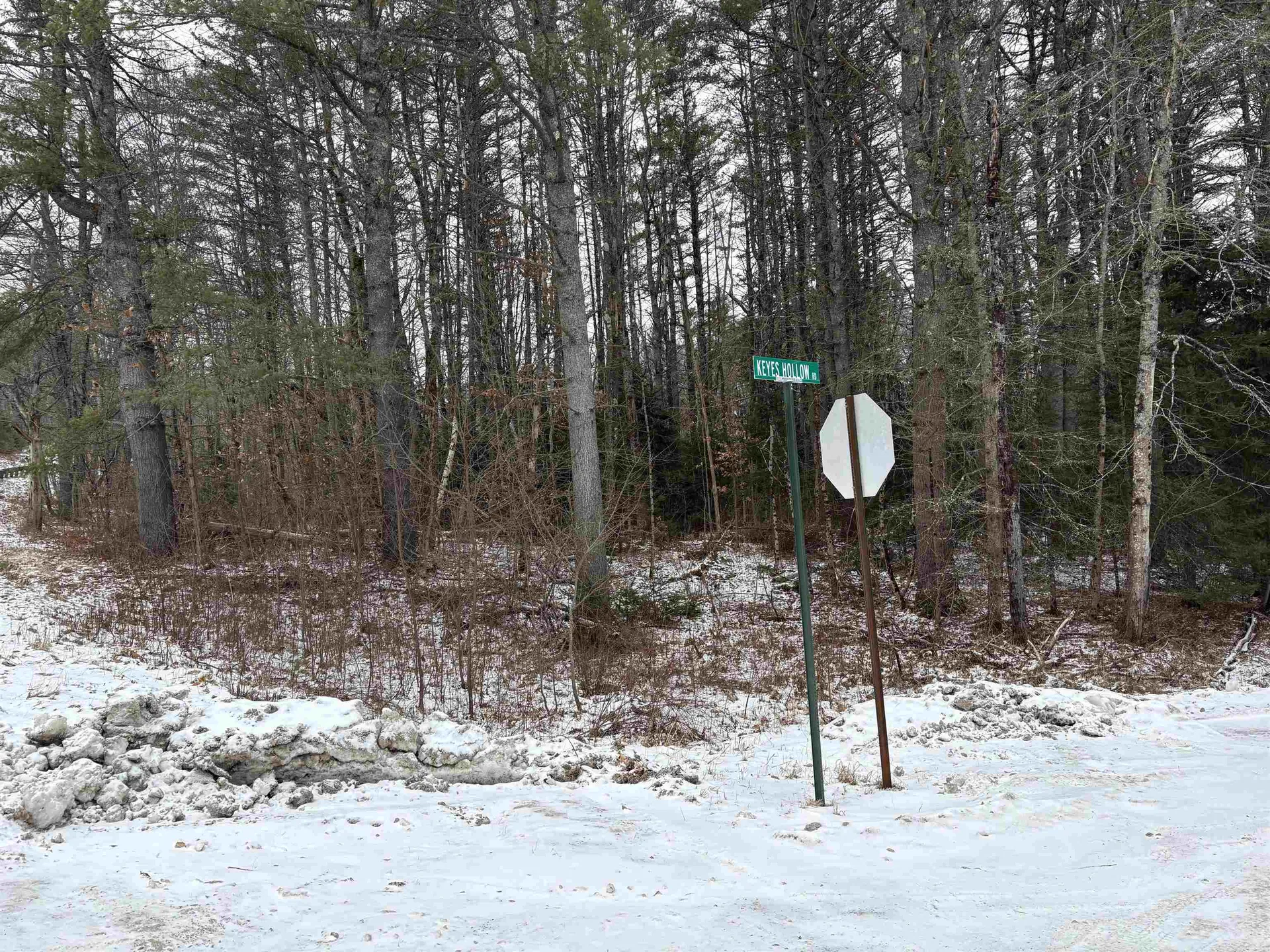 0 Keyes Hollow Road Lempster NH 03605